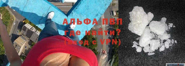 стафф Кинешма
