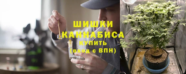 стафф Кинешма