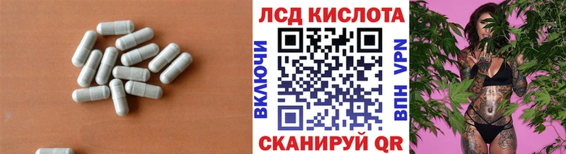 Купить закладки  Выборг  Лсд 25 экстази кислота 
