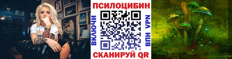 Галлюциногенные грибы Psilocybe  Купить  Выборг 